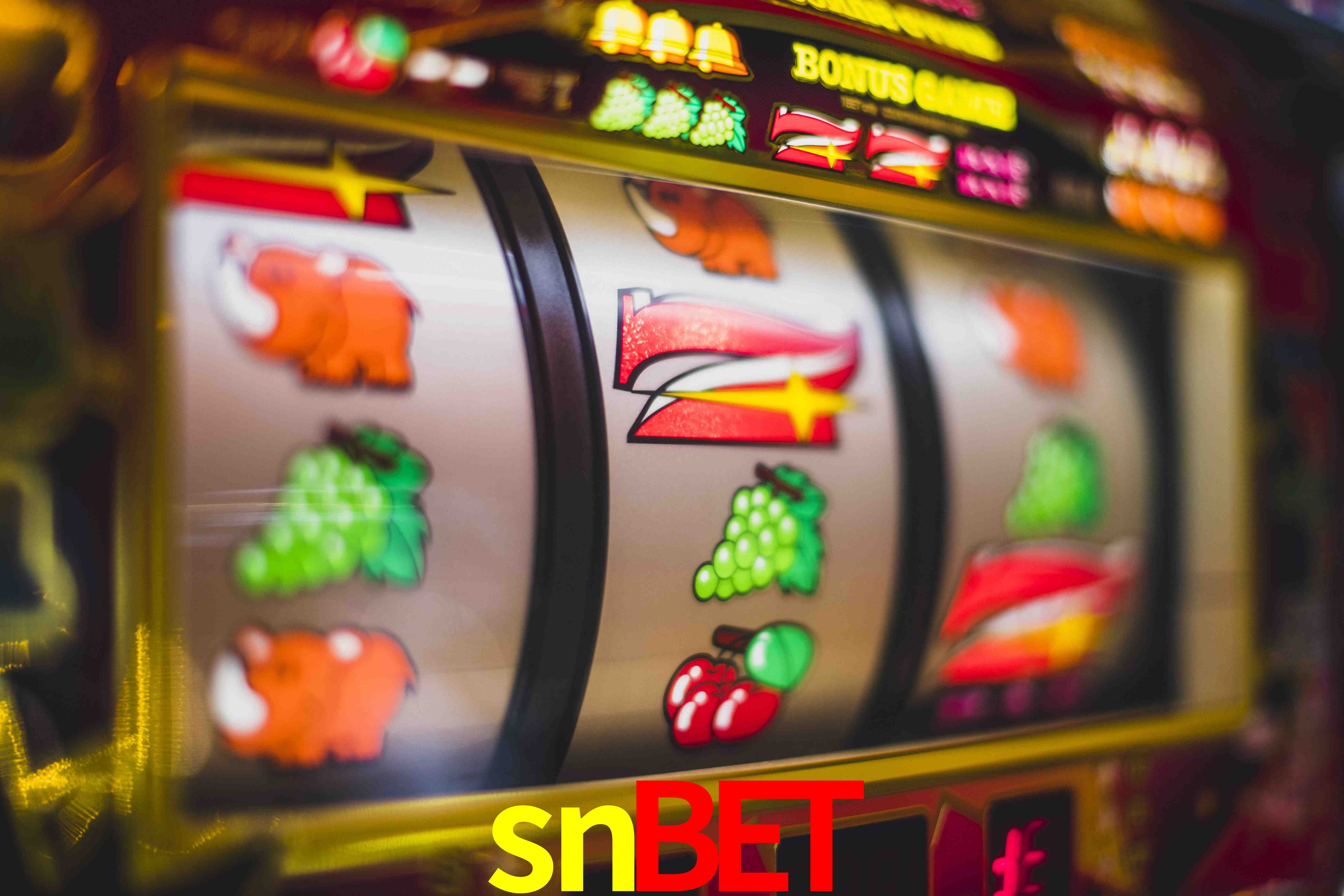 VIP Casino snbet